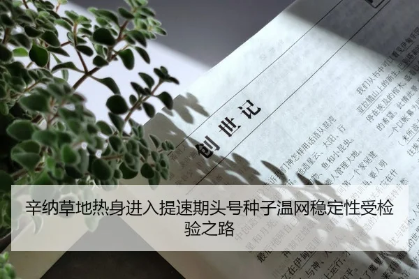 xin-na-cao-di-re-shen-jin-ru-ti-su-qi-tou-hao-zhong-zi-wen-wang-wen-ding-xing-shou-jian-yan-zhi-lu-2-624.jpg
