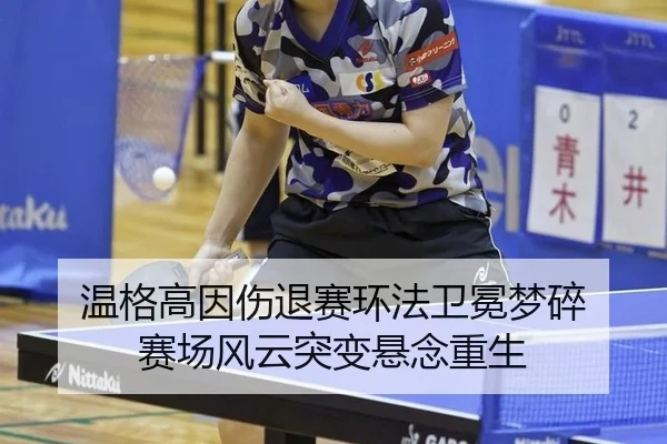 wen-ge-gao-yin-shang-tui-sai-huan-fa-wei-mian-meng-sui-sai-chang-feng-yun-tu-bian-xuan-nian-chong-sheng-2-304.jpg