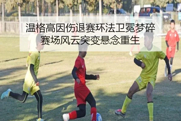 温格高因伤退赛环法卫冕梦碎 赛场风云突变悬念重生