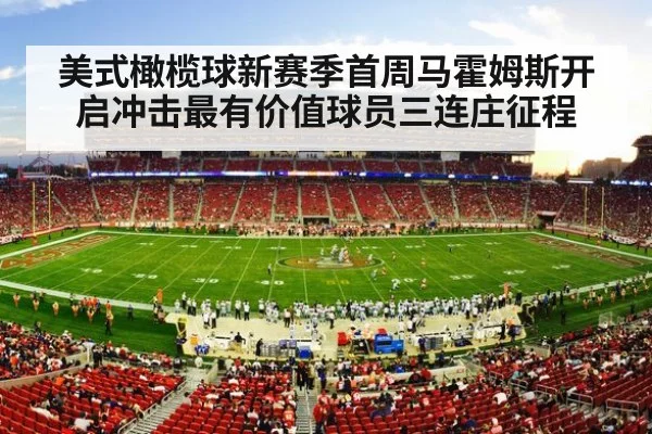 NFL stadium crowd
